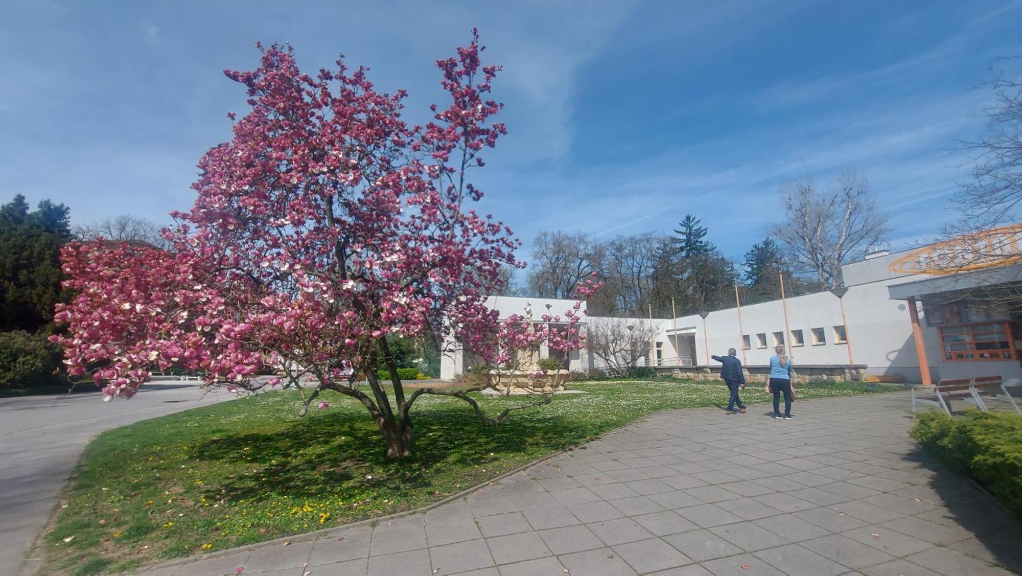 Villa Dom Na Cervenej Vezi Banka Esterno foto
